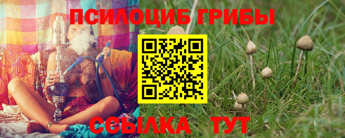 Галлюциногенные грибы прущие грибы  Вход с VPN  Псилоцибиновые грибы Psilocybine cubensis  Алушта 