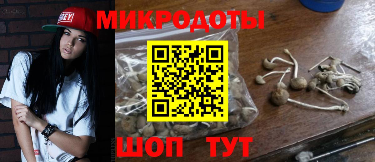 Псилоцибиновые грибы мицелий Алушта